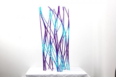 This is the first release of my plug-in for agent-based modelling based on Physarum Polycephalum. It is a stigmergy algorithms similar to ant colony a
