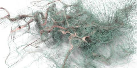 Culebra.NET is a 2D|3D Multi Object Behavior library written in C# (Wrapper around Culebra Java library) focused on hybrid system interactions.
