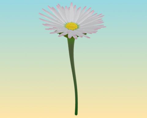 PhylloMachine is a set of scripts/UserObject for Grasshopper to model plants using some&nbsp;properties of phyllotaxis. The basic idea is that
