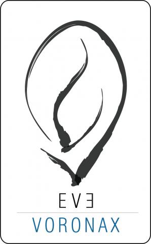 eVe | voronax eVe|voronax is a plug-in used for the generation of Voronax structures. It is a specific type of structure obtai
eVe | voronax eVe|voronax is a plug-in used for the generation of Voronax structures. It is a specific type of structure obtai