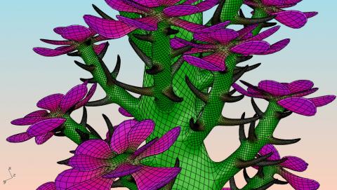 PhylloMachine is a set of scripts/UserObject for Grasshopper to model plants using some&nbsp;properties of phyllotaxis. The basic idea is that
