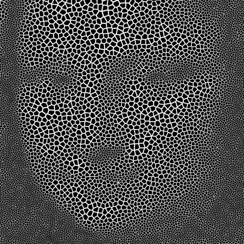 Generates 2D outlines from curves
