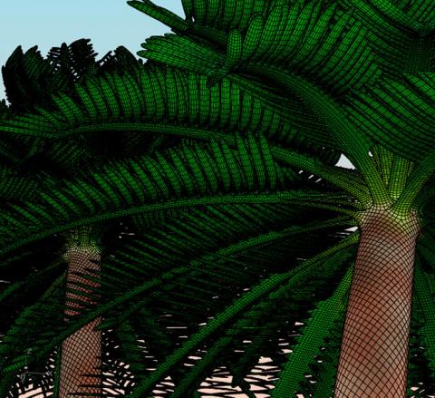 PhylloMachine is a set of scripts/UserObject for Grasshopper to model plants using some&nbsp;properties of phyllotaxis. The basic idea is that
