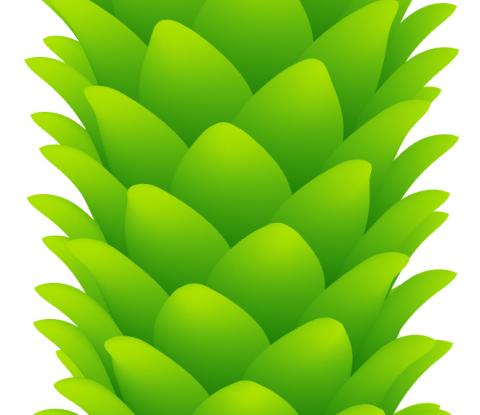 PhylloMachine is a set of scripts/UserObject for Grasshopper to model plants using some&nbsp;properties of phyllotaxis. The basic idea is that
